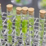 グループ複数社の勤怠管理を統一！[[br]]医薬品開発支援企業がRocoTimeで実現した[[br]]労務管理の最適化
